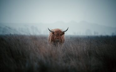 dylan-leagh-qnVXHhUP0xU-unsplash-scaled.jpg dylan-leagh-qnVXHhUP0xU-unsplash-scaled.jpg